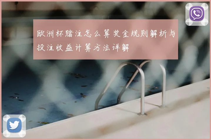 欧洲杯赌注怎么算奖金规则解析与投注收益计算方法详解
