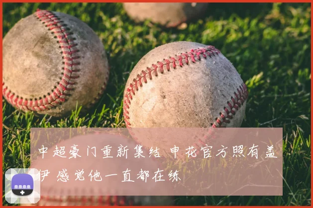 中超豪门重新集结 申花官方照有盖伊 感觉他一直都在练