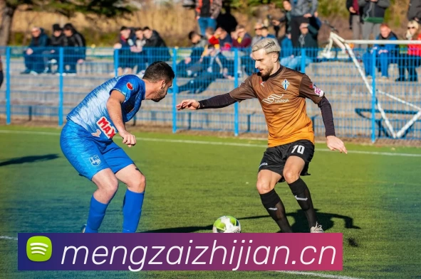 App Interface Preview